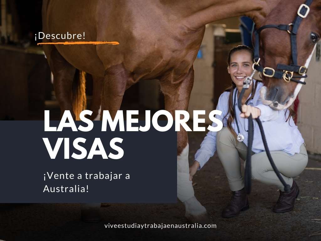 Las mejores visas para trabajar como veterinario en Australia