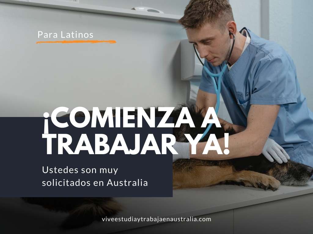 Los veterinarios en Australia son muy soclitados