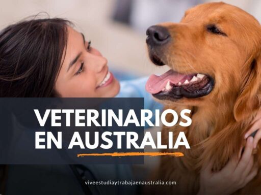 Trabajar como veterinario en Australia siendo latino