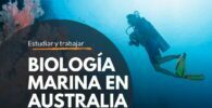 Estudiar biología marina en Australia y trabajar