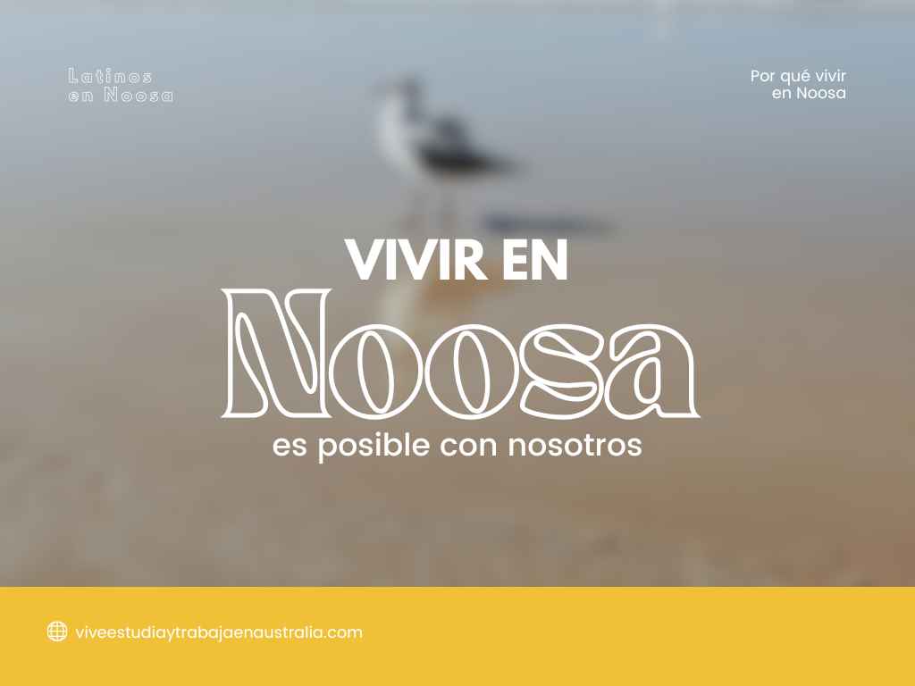 vivir en noosa es posible con vive
