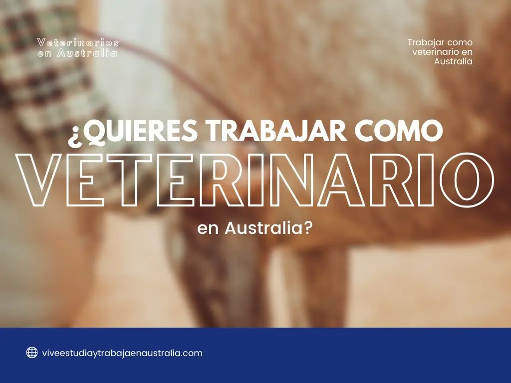 Veterinario en Australia