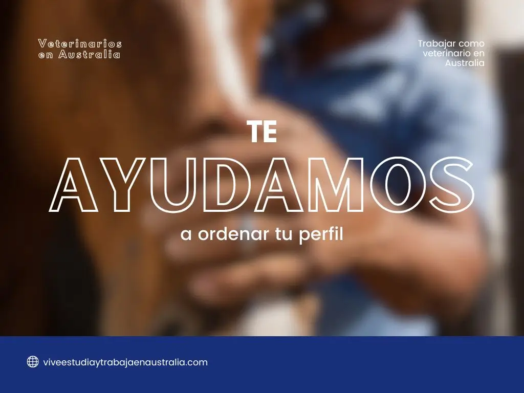 veterinarios en Australia